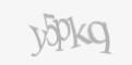 Защитный код